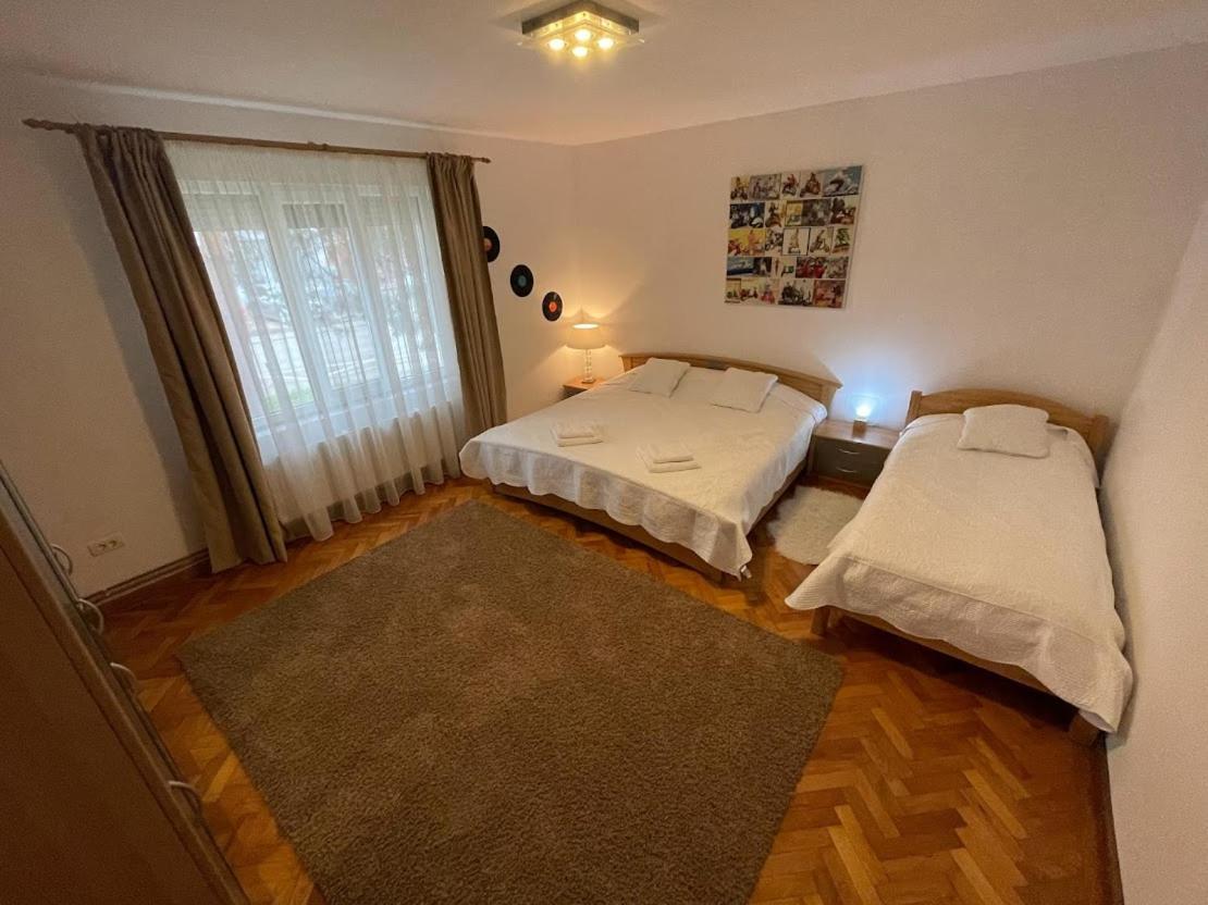 Crisan 40 Casa Muntean 100Mp 3Camere 3Paturi 1 Canapea 2 Dormitoare Parcare Temesvár Kültér fotó