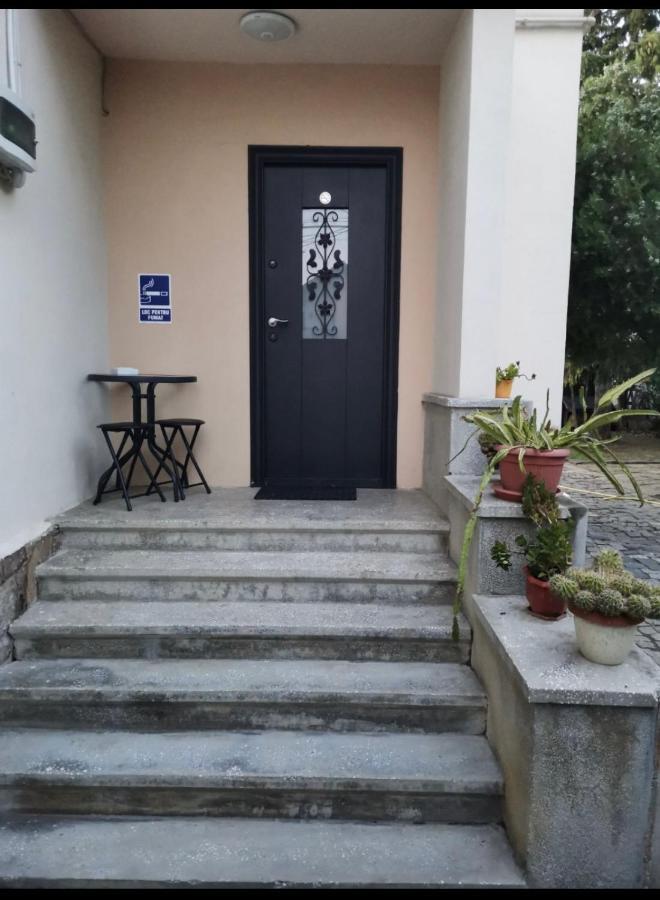 Crisan 40 Casa Muntean 100Mp 3Camere 3Paturi 1 Canapea 2 Dormitoare Parcare Temesvár Kültér fotó